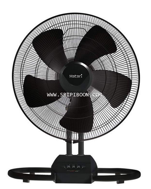 My Image 91