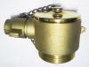 Brass QUICK COUPLING ADAPTOR WITH CAP  CHAIN 2.5 inch.