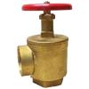 LOCAL Brass Angle Valve 2-1/2 inch. Thread End NST