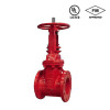 ARITA รุ่น AFF-RGA-33FF-300 Gate Valve Resilient Seated OS&Y Type-Flanged Ends Size 6