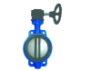 ARITA รุ่น IBF-E04G Wafer Type Butterfly Valve Cast Iron SS304 / Seat EPDM Gear Operator Size 12