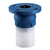 SOCLA รุ่น  302P foot valve cast iron body,Polyethylene Strainer flange ends, PN16 65 mm  Size 2-1/2