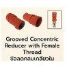 MECH model.240N Concentric Reduce with Female Thread ข้อลดกลมเกลียวใน Groove  UL/FM