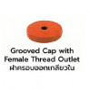 MECH model.300 Cap with Female Thread Outlet ฝาครอบ Groove  UL/FM