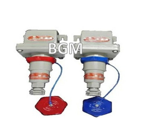 BGM รุ่น BRC221-16 Receptacle and Plug Two-Gang Explosion Proof 1-Phase 220VAC-16A - คลิกที่นี่เพื่อดูรูปภาพใหญ่
