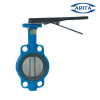 ARITA รุ่น IBF-E04L Butterfly Valve Cast iron SS304 Size 2