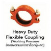 MECH model.1NH Heavy Duty Flexible Coupling UL/FM